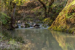 Single Family Residence,  Westside road, Healdsburg, CA 95448 - 30