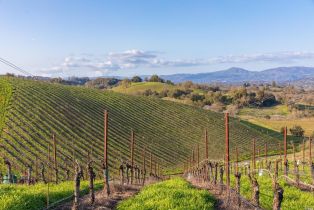 Agriculture,  Westside road, Healdsburg, CA 95448 - 47