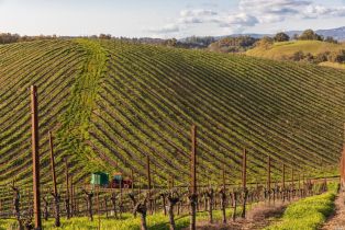 Agriculture,  Westside road, Healdsburg, CA 95448 - 48