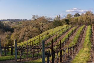 Agriculture,  Westside road, Healdsburg, CA 95448 - 40