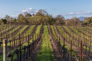 Agriculture,  Westside road, Healdsburg, CA 95448 - 38