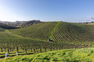 Agriculture,  Westside road, Healdsburg, CA 95448 - 45