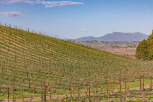 Agriculture,  Westside road, Healdsburg, CA 95448 - 42