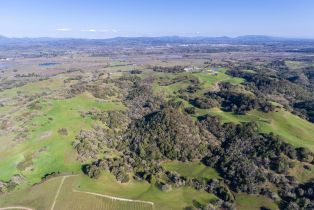 Agriculture,  Westside road, Healdsburg, CA 95448 - 51