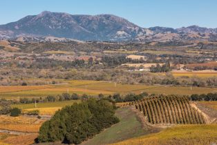 Land, 5285 Westside Rd, Healdsburg, CA  Healdsburg, CA 95448