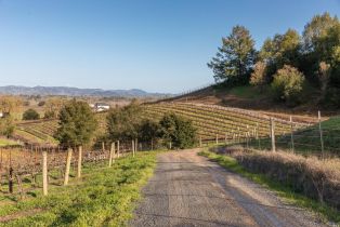 Agriculture,  Westside road, Healdsburg, CA 95448 - 37