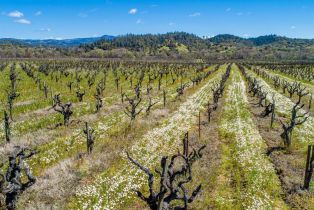 Residential Lot,  Dry Creek road, Healdsburg, CA 95448 - 18