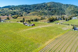 Residential Lot,  Dry Creek road, Healdsburg, CA 95448 - 4