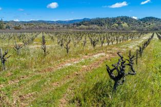 Residential Lot,  Dry Creek road, Healdsburg, CA 95448 - 17