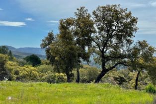 Residential Lot,  Atlas Peak road, Napa, CA 94558 - 4