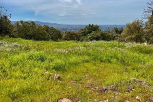 Residential Lot,  Atlas Peak road, Napa, CA 94558 - 5