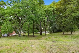 Commercial Lot,  Arnold drive, Glen Ellen, CA 95442 - 12