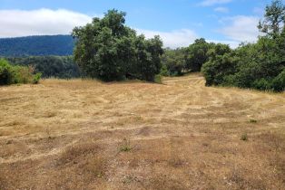 Residential Acreage,  Sweetwater Springs road, Healdsburg, CA 95448 - 4