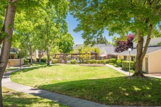 Residential Income,  Marlow road, Santa Rosa, CA 95403 - 14