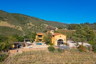 Single Family Residence,  Silverado trail, Napa, CA 94558 - 48