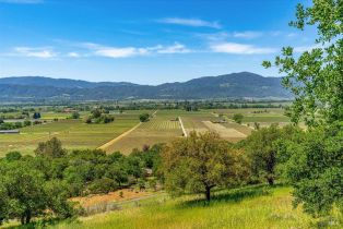 Single Family Residence,  Silverado trail, Napa, CA 94558 - 25