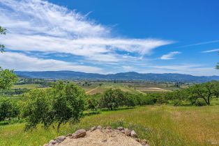 Single Family Residence,  Silverado trail, Napa, CA 94558 - 19