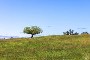 Single Family Residence,  Lakeville highway, Petaluma, CA 94954 - 79