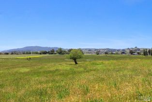 Single Family Residence,  Lakeville highway, Petaluma, CA 94954 - 74