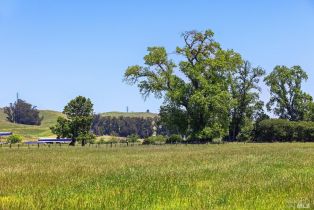 Single Family Residence,  Lakeville highway, Petaluma, CA 94954 - 84