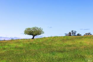 Single Family Residence,  Lakeville highway, Petaluma, CA 94954 - 80