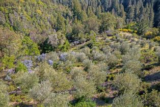 Residential Acreage,  Fern way, Russian River, CA 95446 - 35