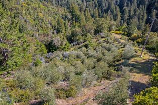 Residential Acreage,  Fern way, Russian River, CA 95446 - 34