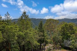 Residential Acreage,  Fern way, Russian River, CA 95446 - 27