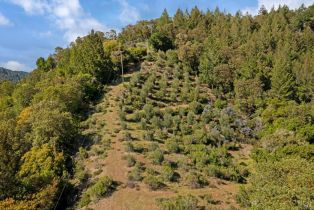 Residential Acreage,  Fern way, Russian River, CA 95446 - 33