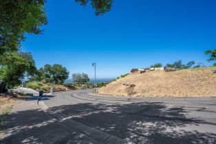 Residential Lot,  Skyfarm drive, Santa Rosa, CA 95403 - 38