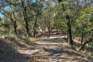 Residential Acreage,  Dutcher Creek road, Cloverdale, CA 95425 - 2