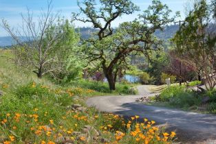 Residential Acreage, 4522 Wallace road, Santa Rosa, CA 95404 - 5