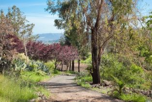 Residential Acreage, 4522 Wallace road, Santa Rosa, CA 95404 - 23