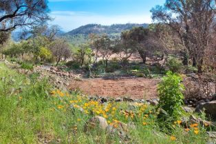 Residential Acreage, 4522 Wallace road, Santa Rosa, CA 95404 - 21