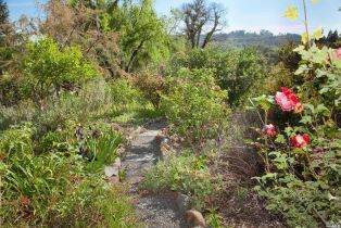 Residential Acreage, 4522 Wallace road, Santa Rosa, CA 95404 - 24