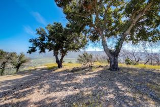 Residential Acreage,  Dutch Henry Canyon road, Calistoga, CA 94515 - 13