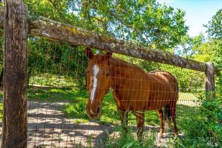 Residential Income, 845 Horn avenue, Glen Ellen, CA 95442 - 18