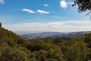 Residential Acreage,  Grove street, Sonoma, CA 95476 - 33