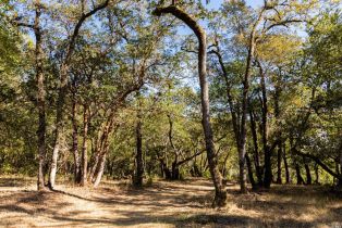 Residential Acreage,  Grove street, Sonoma, CA 95476 - 26