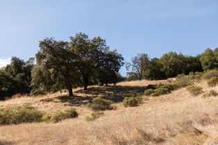 Residential Acreage,  Grove street, Sonoma, CA 95476 - 50