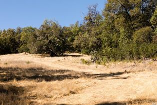 Residential Acreage,  Grove street, Sonoma, CA 95476 - 54