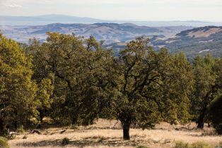 Residential Acreage,  Grove street, Sonoma, CA 95476 - 12