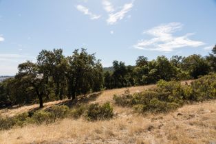 Residential Acreage,  Grove street, Sonoma, CA 95476 - 11