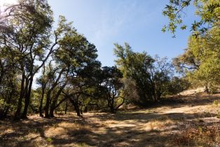 Residential Acreage,  Grove street, Sonoma, CA 95476 - 28