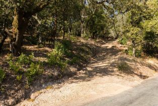 Residential Acreage,  Grove street, Sonoma, CA 95476 - 29