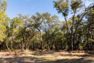 Residential Acreage,  Grove street, Sonoma, CA 95476 - 25