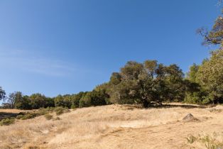 Residential Acreage,  Grove street, Sonoma, CA 95476 - 17