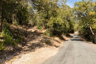 Residential Acreage,  Grove street, Sonoma, CA 95476 - 60