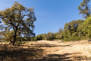 Residential Acreage,  Grove street, Sonoma, CA 95476 - 23