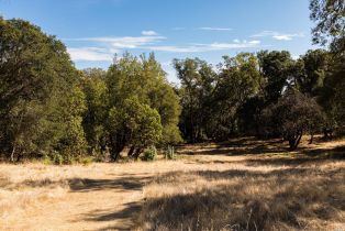 Residential Acreage,  Grove street, Sonoma, CA 95476 - 49